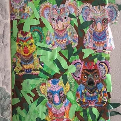 Koalas