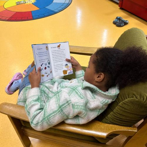 Lesen mit Indigo