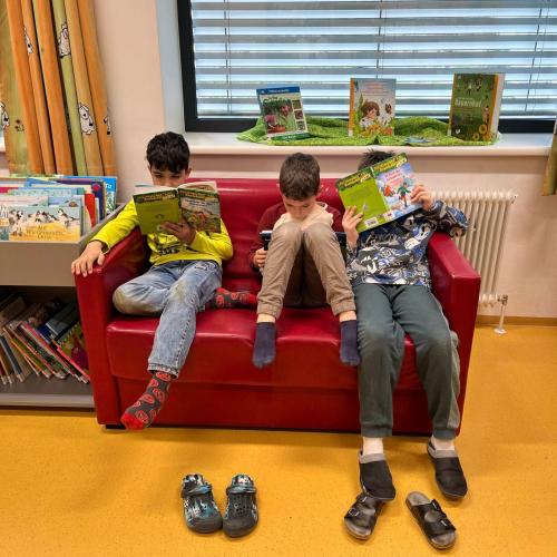 Lesen mit Indigo