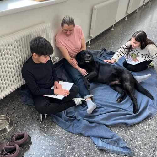 Lesen mit Indigo