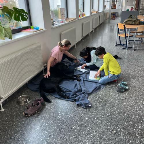 Lesen mit Indigo