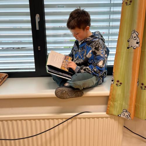 Lesen mit Indigo