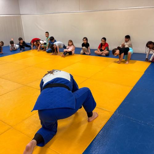 Judo2