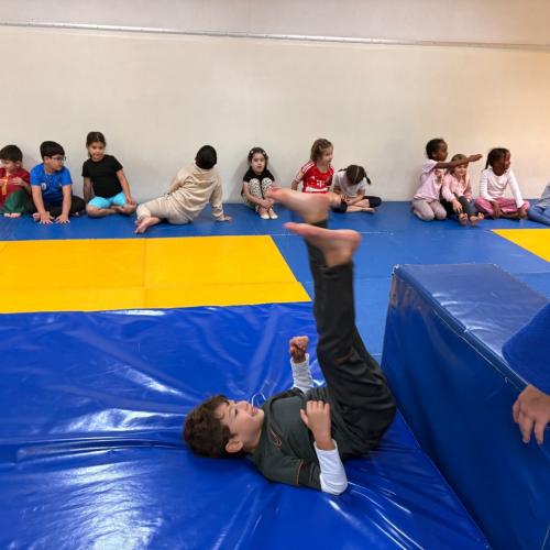 Judo1
