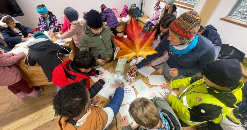 Waldschule1