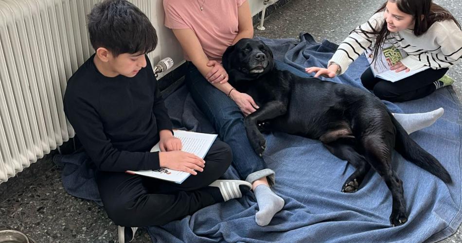 Lesen mit Indigo