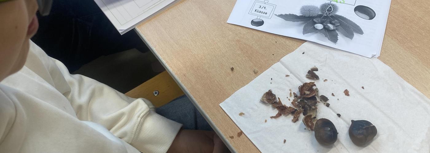 Kastanie4