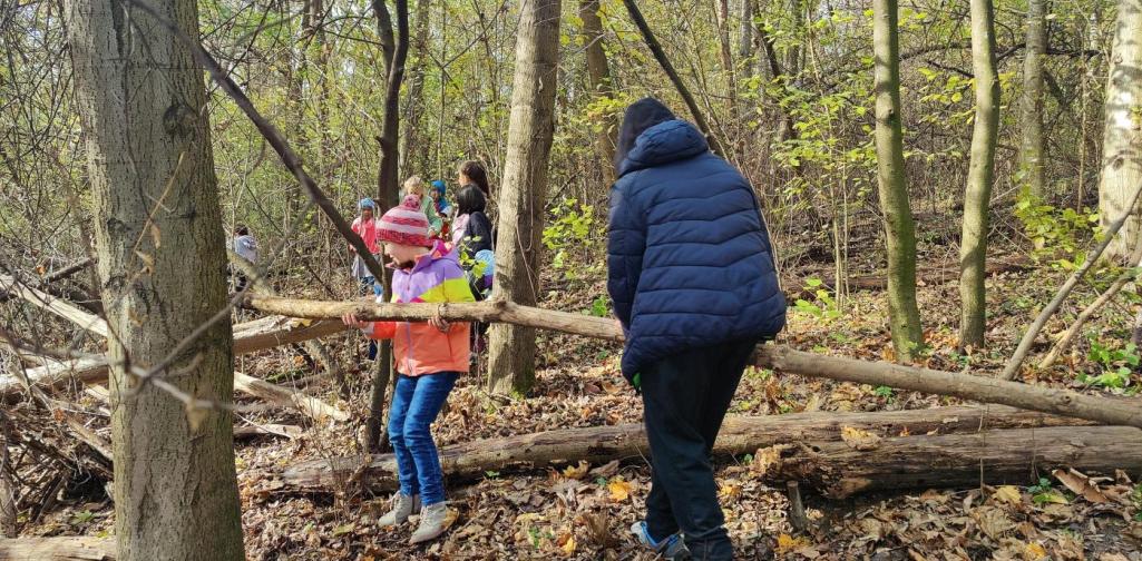 HÄUSER IM WALD BAUEN