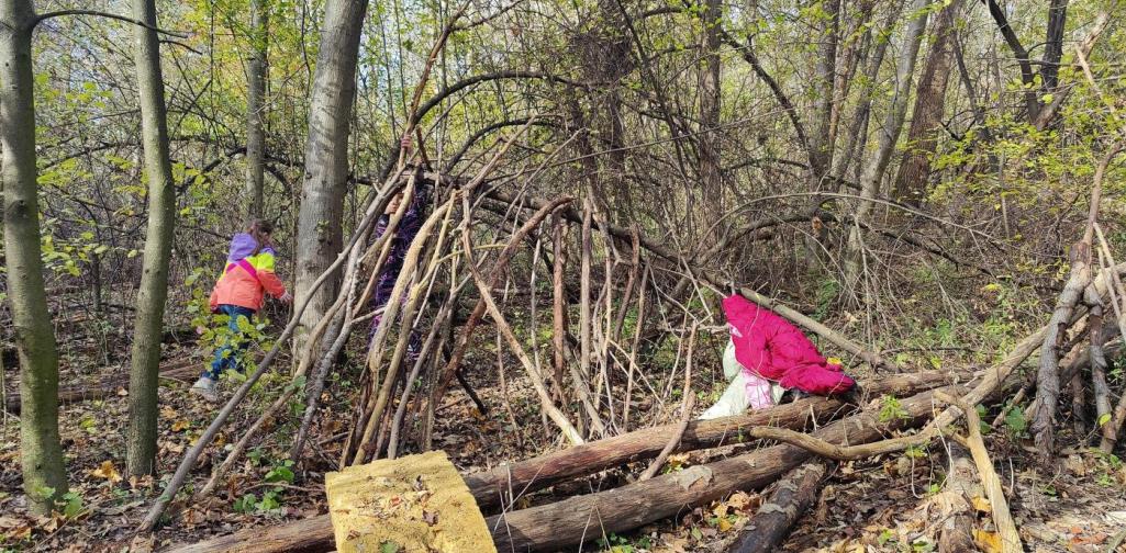HÄUSER IM WALD BAUEN