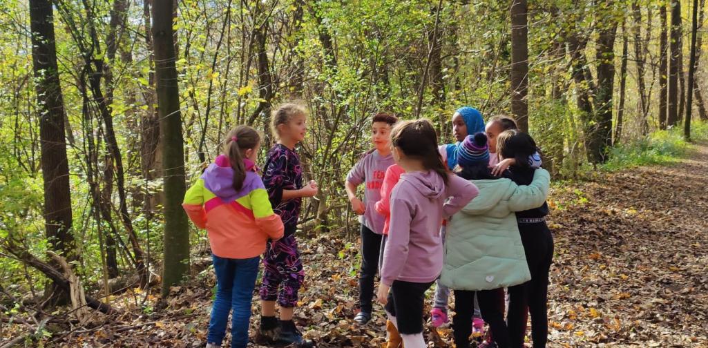 HÄUSER IM WALD BAUEN