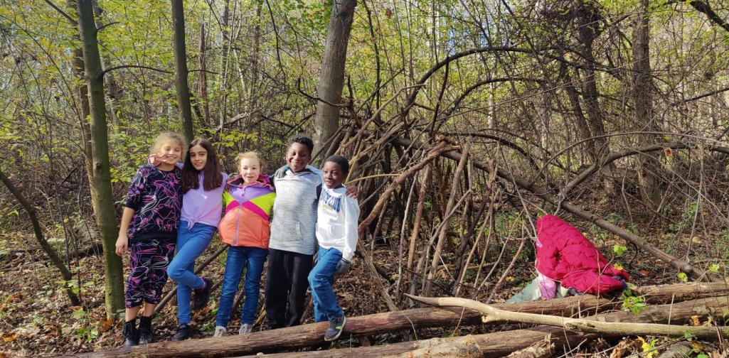 HÄUSER IM WALD BAUEN
