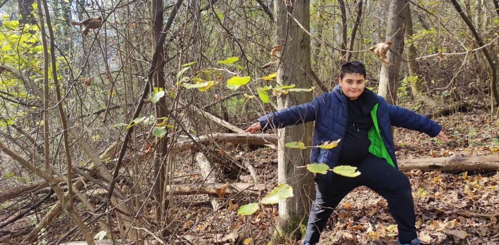 HÄUSER IM WALD BAUEN