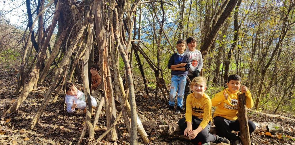 HÄUSER IM WALD BAUEN